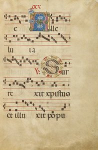 Dekorert initial A; Dekorert initial S av Unknown artist