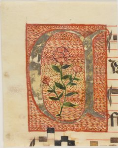 Dekorert initial «A» med blomst fra et manuskript av Unknown artist