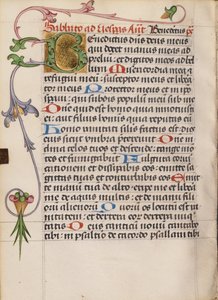 Dekorert initial B av Unknown artist