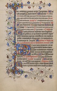Dekorert initial D av Unknown artist
