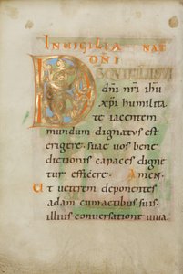 Dekorert initial D av Unknown artist