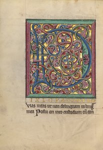 Dekorert initial D av Unknown artist