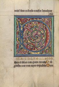 Dekorert initial D av Unknown artist