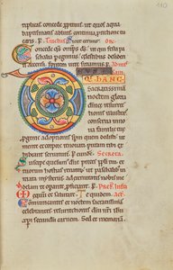 Dekorert initial D av Unknown artist