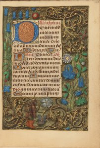 Dekorert initial D av Unknown artist