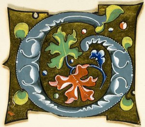 Dekorert initial «G» i grått med røde, grønne og blå blader fra et manuskript av Unknown artist