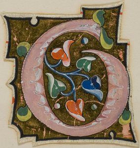 Dekorert initial «G» i rosa med krøllete blader fra et manuskript av Unknown artist