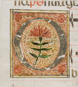 Dekorert initial «O» med blomster fra et manuskript av Unknown artist