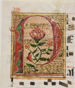 Dekorert initial «P» med blomster fra et manuskript av Unknown artist