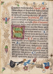 Dekorert initial S av Unknown artist