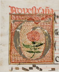 Dekorert initial «T» med blomst fra et manuskript av Unknown artist