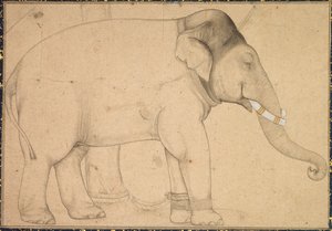 Tegning av en elefant av Unknown artist