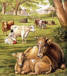 Bønder som trekker melk. 1800-tallet. av Unknown artist