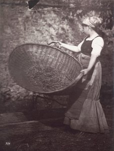 [Kvinnelig bonde med rensekurv] av Unknown artist