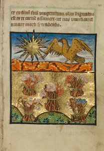 Fem blomsterbuketter av Unknown artist