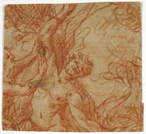 Flaking av Marsyas av Unknown artist