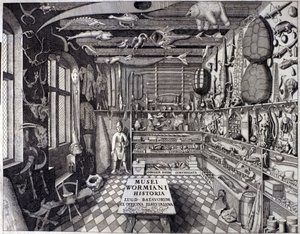 Frontispice av "Musei Wormiani Historia"" som viser interiøret i kabinettet av kuriositeter til Ole Worm eller Olaus Wormius av Unknown artist