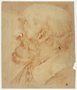 Hode av skjeggete mann i profil av Unknown artist
