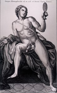Hermaphrodite boy seen in 1755 and drawn from nature. av Unknown artist