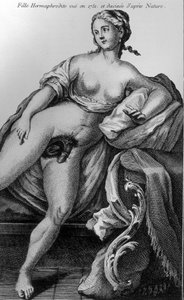 Hermafroditt-jente sett i 1751 og hentet fra naturen. av Unknown artist