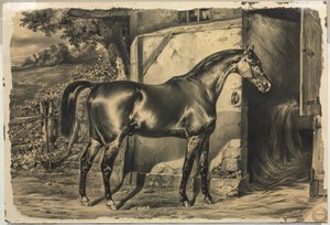 Hest foran en låve (verso) av Unknown artist