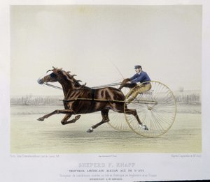 Ridning: Shepherd F. Knapp, traver - i "" the centaur"" av Unknown artist