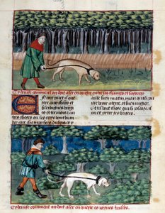 Hvordan oppføre hunder Miniatyr hentet fra "" The book of hunting""" av Gaston III Phoebus, greve av Foix, Lord of Bearn (1331-1391) av Unknown artist
