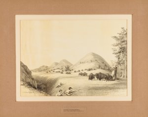 Jegere som forfølger bøffel – nr. 11 av Unknown artist