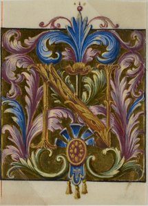 Opplyst initial «N» med akantusblader fra en korbok av Unknown artist