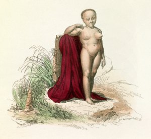 Illustrasjon fra boken «Buffons komplette verker»: Menneskets naturhistorie: Hvite negerinne (gravering) av Unknown artist