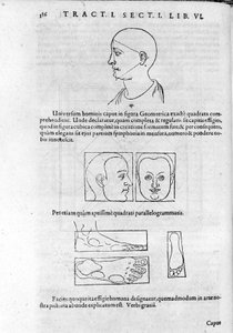 Bilde av fysiognomi fra "Collection of Works"" av Robert Fludd (Robertus de Fluctibus). London 1617 av Unknown artist