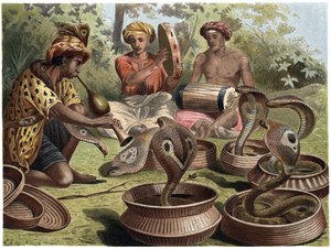 Indian Cobra - Den indiske kobraen av Unknown artist