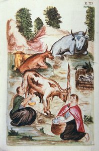Indiske gjetere som tar vare på kyr, fra boken "Trujillo del Peru" eller "Códice Martínez Compañón", av Baltazar Martinez Compañón y Bujanda, biskop av Trujillo (1782-1785) av Unknown artist