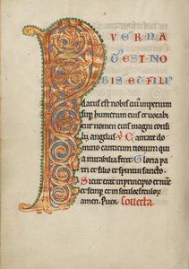 Bebodd initial P av Unknown artist