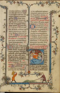 Initial P: Jesu fødsel av Unknown artist