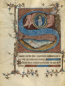 Initial S: David i vannet av Unknown artist