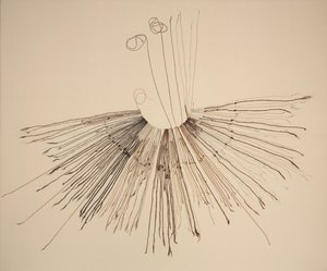 Inka Khipu (fiberopptaksenhet) av Unknown artist
