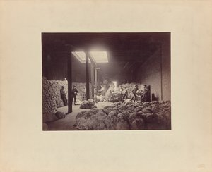 [Interiør av ullsorteringshus, Walter Brown and Company] av Unknown artist