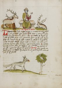Jupiter som en eldre skjeggete mann tronende mellom en hjort og en hare; en ulv under et tre av Unknown artist