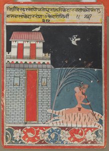 Til den hårete ragien av Unknown artist