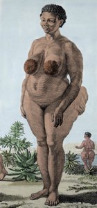La Venus Hottentote, kvinne av rasen Bochiman; (The Hottentot Venus,) gravering fra 1815. av Unknown artist