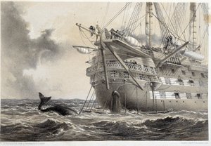 Legger den atlantiske telegrafkabelen, en hval rundt båten av Unknown artist