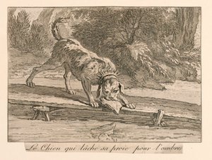"The Dog Who Drops His Prey for the Shade" fra La Fontaines Fables av Unknown artist