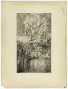 Liten dam i skogen av Unknown artist