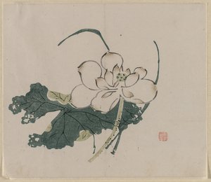 Lotusblomst av Unknown artist
