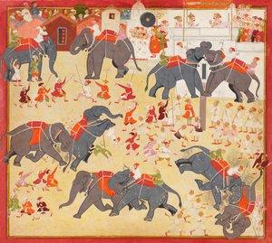 Maharana Raj Singh observerer en elefantkamp av Unknown artist