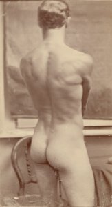 [Studie av mannlig nakenhet] av Unknown artist