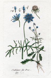 Engskabb av Unknown artist