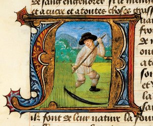 Medisin: en bonde som klipper hveten. Miniatyr hentet fra Treatise on Medicine av Aldebrande de Florence (Aldebrando) av Unknown artist