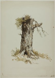 Gammel trestamme (rekto); Gammel trestamme (verso) av Unknown artist